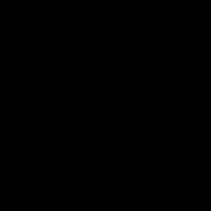 Meet your Posher, Kel